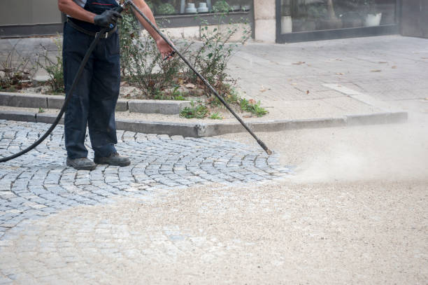 Best Sidewalk and Walkway Cleaning  in Viera East, FL