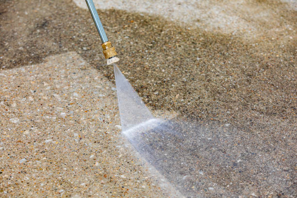 Best Gutter Cleaning  in Viera East, FL